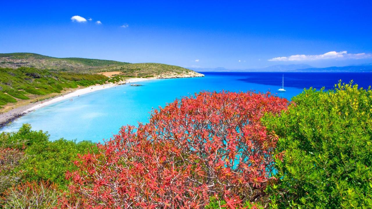 Solki